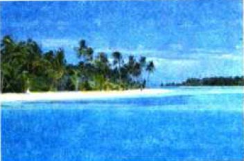 Реферат: Кокосовые острова